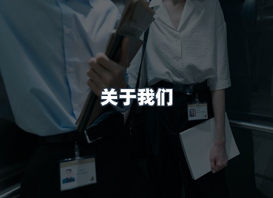 专业团队